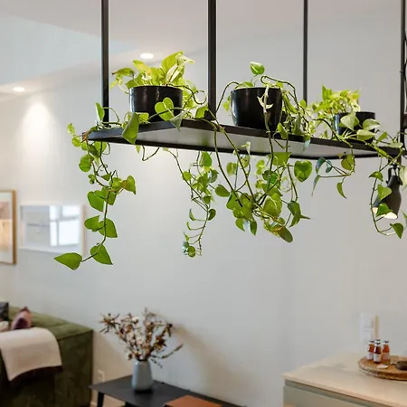 아파트 Ateneu Boutique Townhouse Bolhao *
